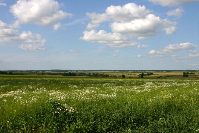 Я хочу целовать твою нежность...