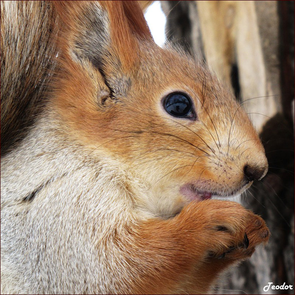 Журнал МАвочки и ДЕльчики номер 46