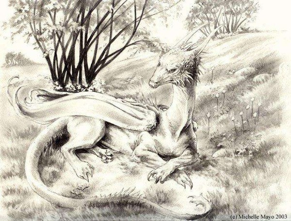 Притча о жестокости...