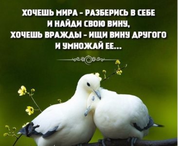 Непринятый подарок. Легенда