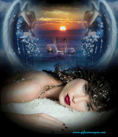 Ночь под куполом неба...