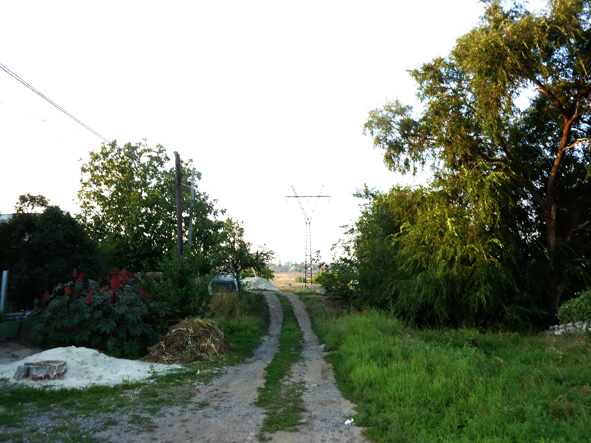 Детский экстрим! Ужас о детстве