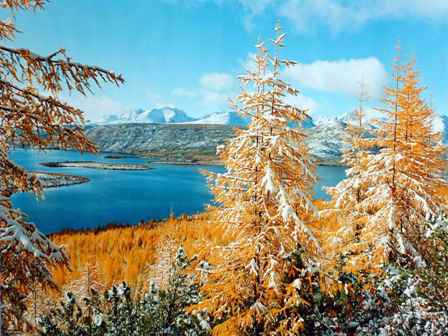 Проснулось солнце, раздвигая тьму...