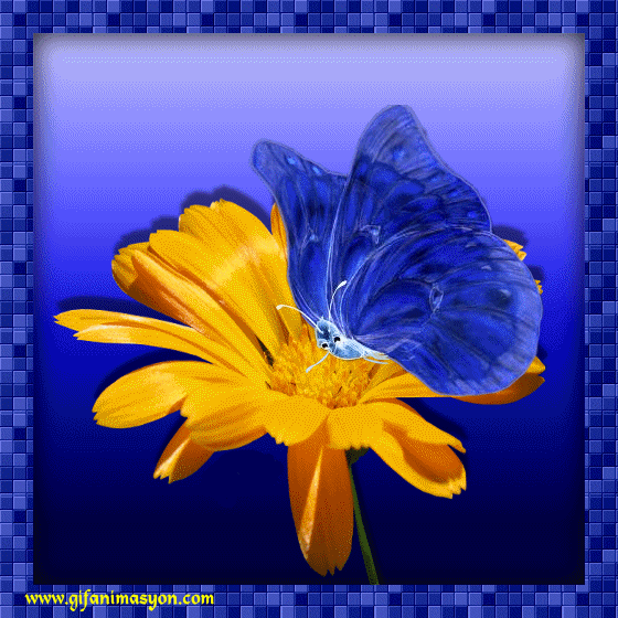 Они рожденные в любви