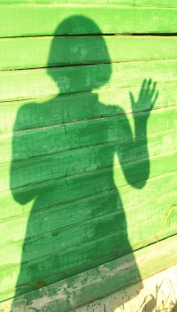 Новое Посвящение Марии