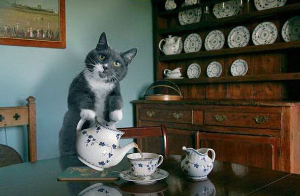 80. Конкурс остроумцев-10