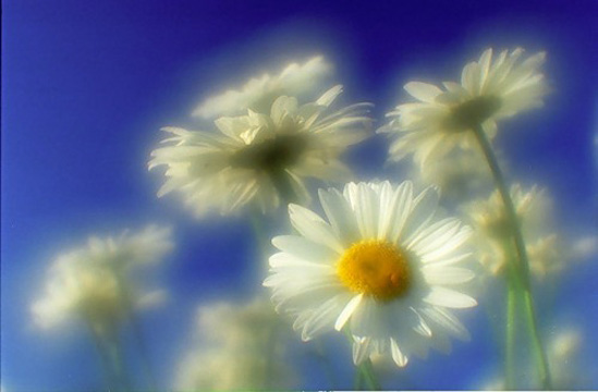 Сжигая старые картинки