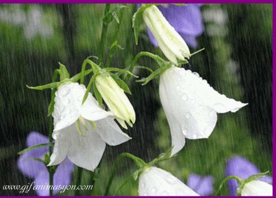 Наполнен воздух...