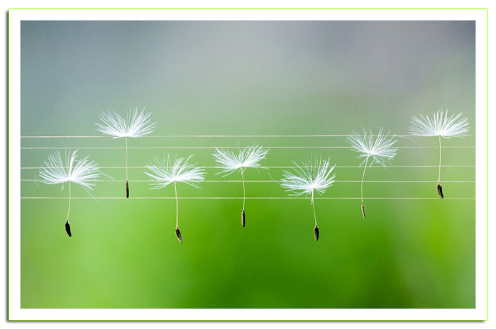 Ты слушал музыку - души моей одежду