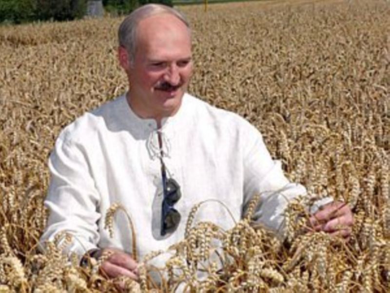 Сельские зарисовки