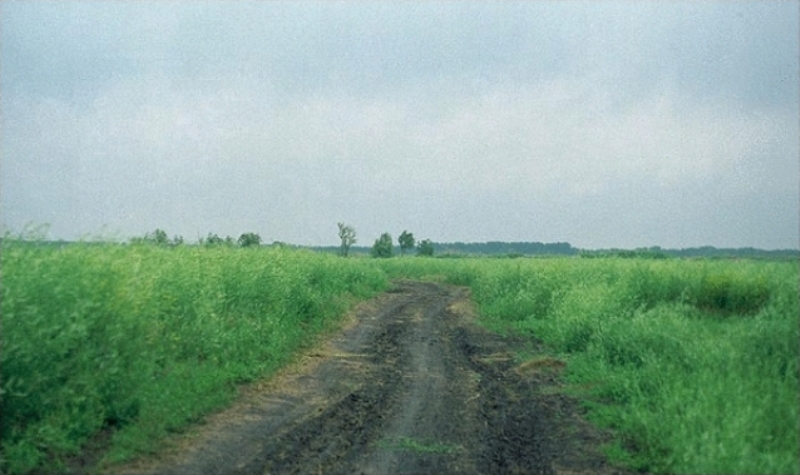 я просто не смогу...