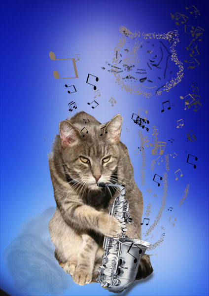 Кот и саксофон