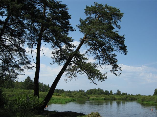 Райские причалы