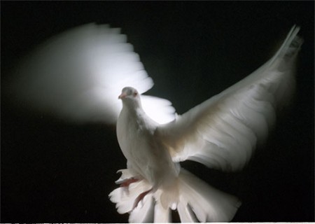 Хаотичный, как сама душа...