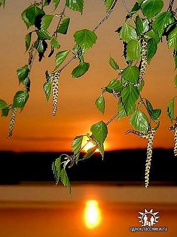 Вечером синим