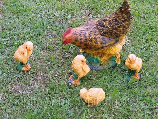 Шустрые цыпушки