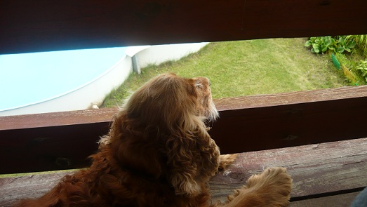 Гррр-р-русть