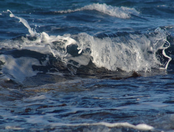 Летний отпуск