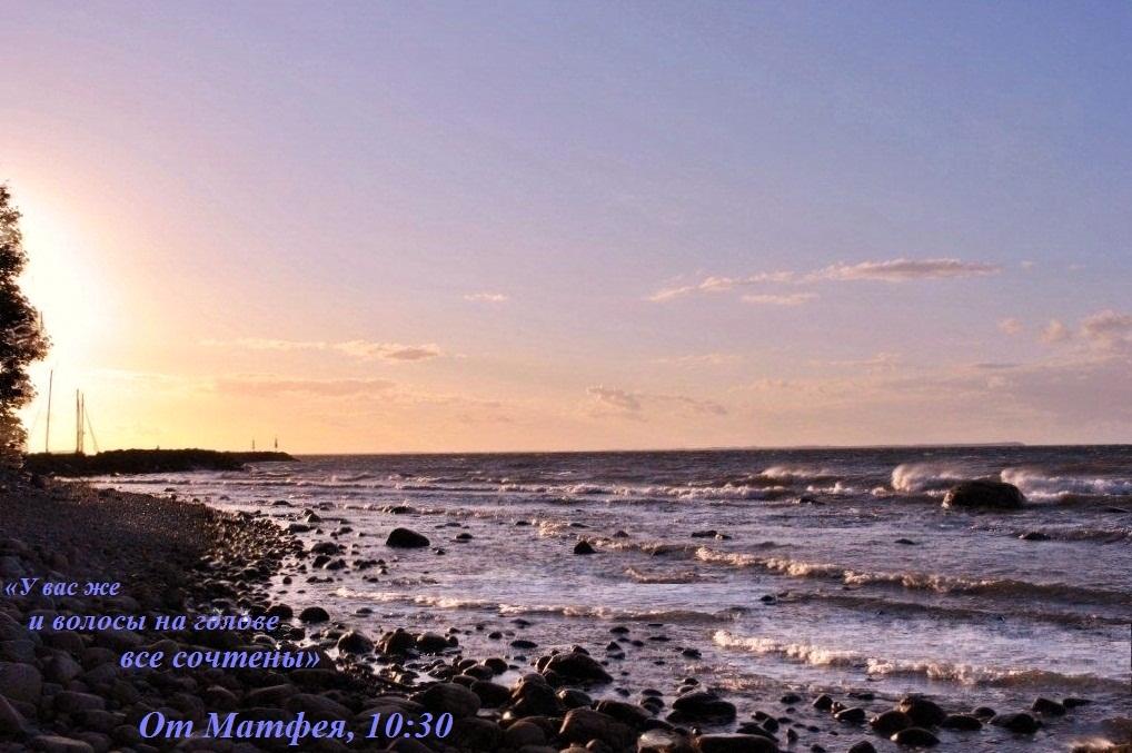 2 Нет случайности