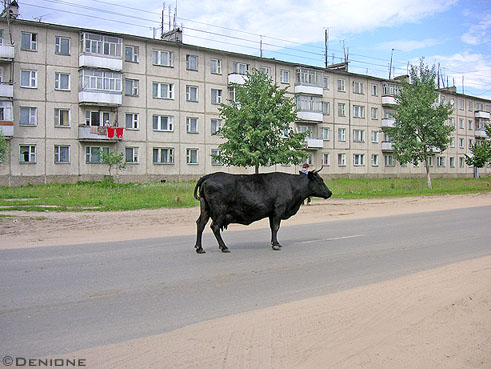 Я узнаю село родное