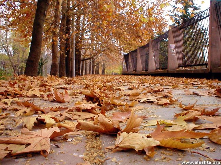 Время осенних перемен