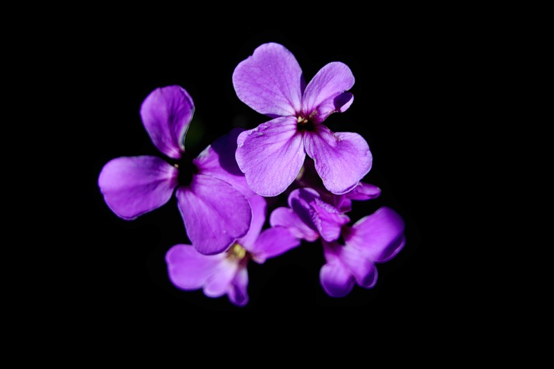 Ты прости, что так в жизни случилось,