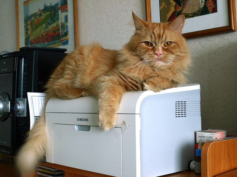 Про наглость