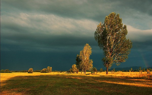 Перед дождём