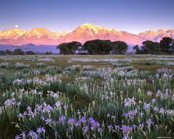 Какая прелесть, черт возьми...