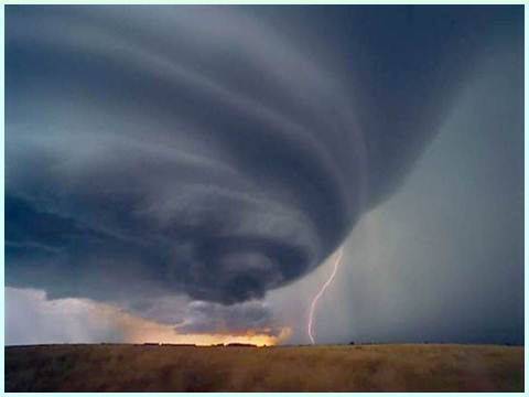 Вишневый полдень