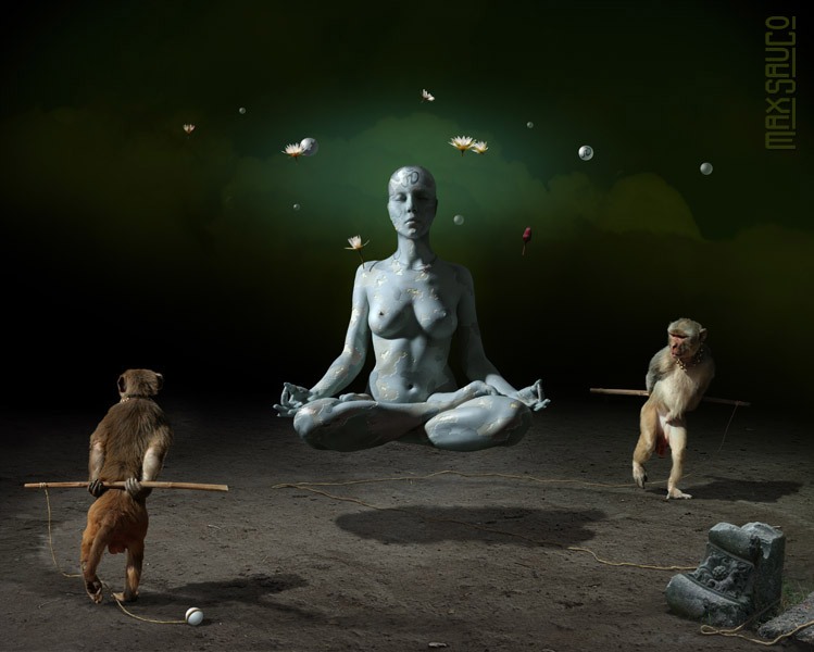 Спритнi мавпи