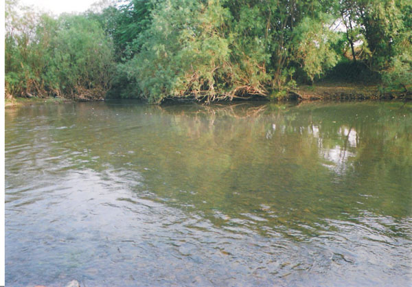 Носи, люба, не теряй!