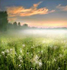 Завидую тем кто живёт