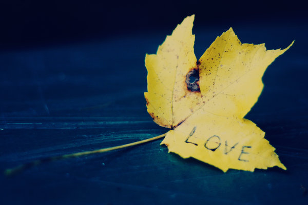 Лишь бы вдвоём