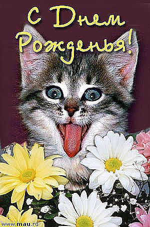 С днём рождения! К юбилею И. С