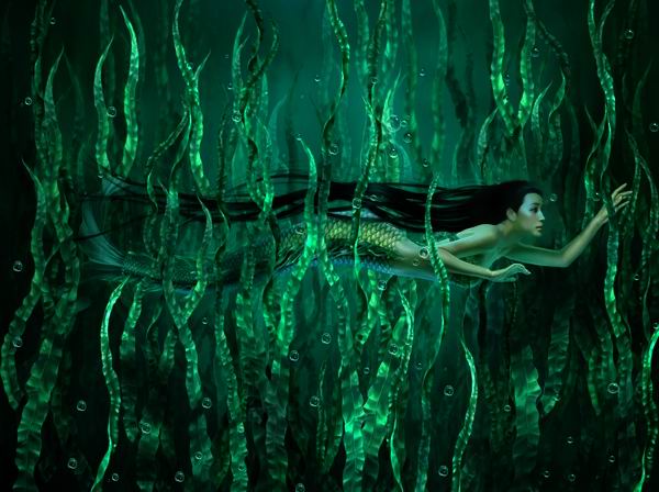 Русалка Сергей Дон цитирует