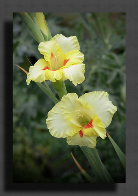 Кому ты можешь тайну рассказать