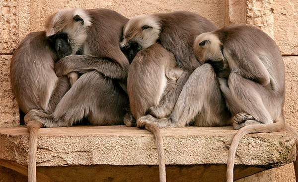 Как нам мешает наша трусость жить!