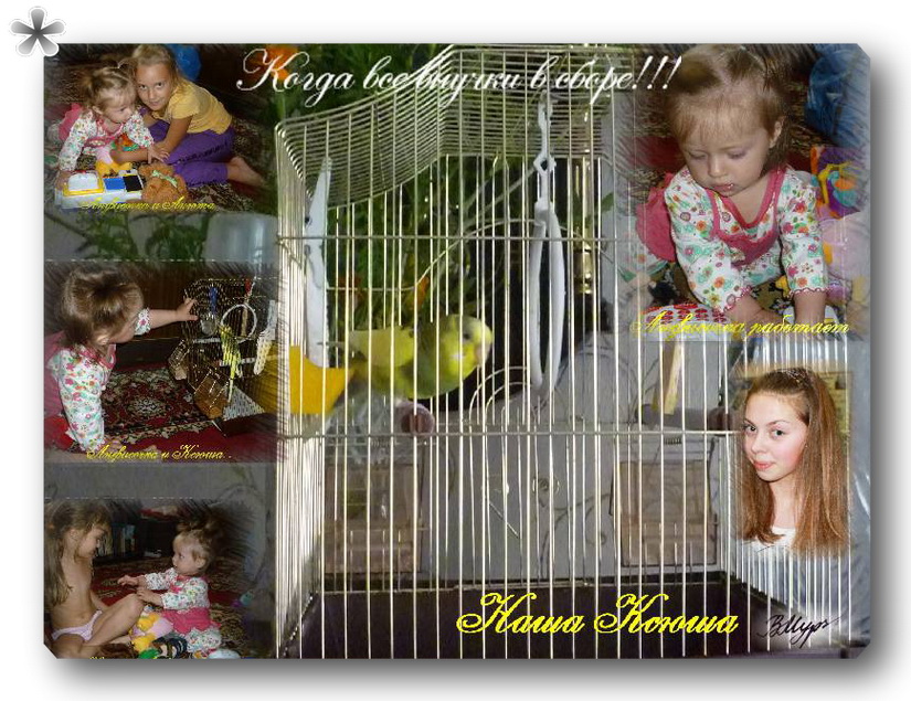 Когда все внучки в сборе