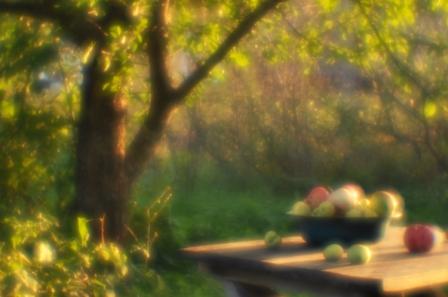 Августовский этюд