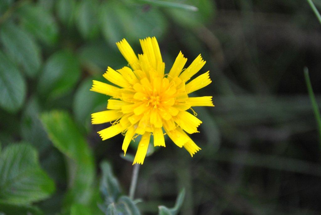 Просто стихи