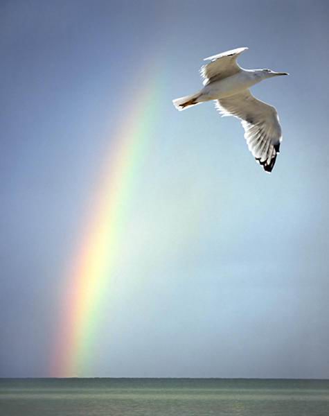 Жизни движение ввысь