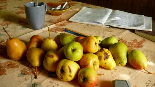 Совет Дачникам