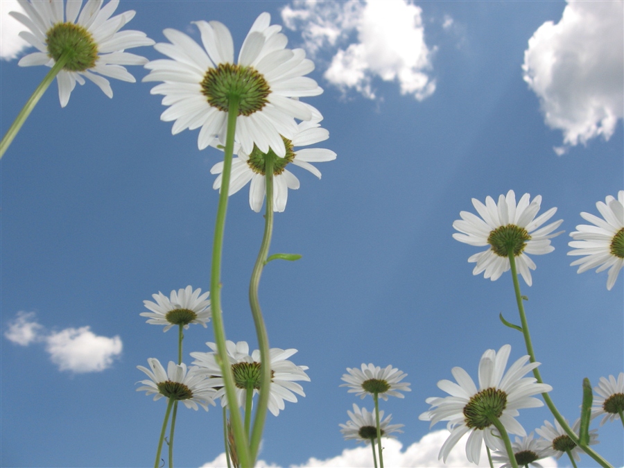 падаю в небо обратно