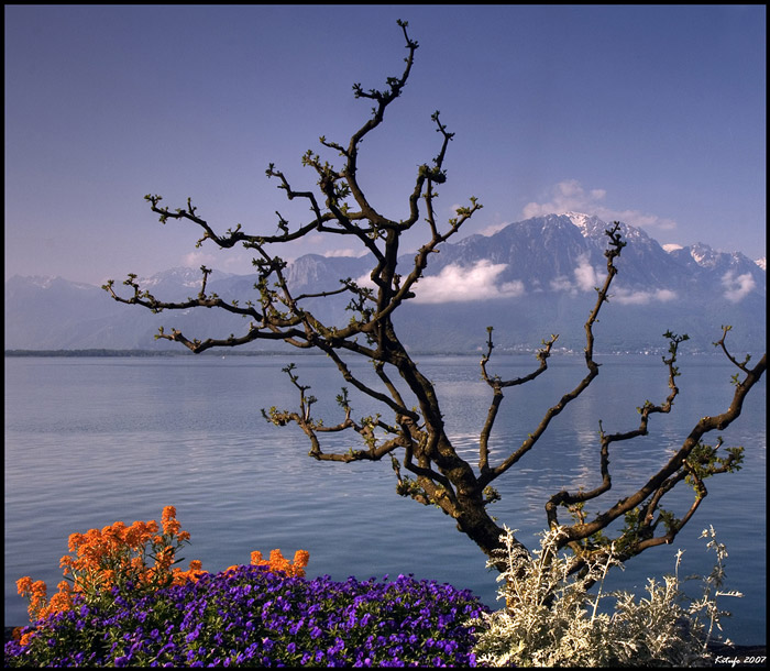 отрываясь от неба они каменеют