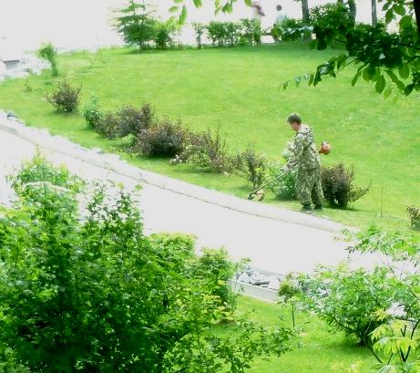 Любила, чтоб сил не осталось