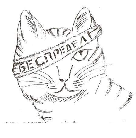 КАК КОТ КОТУ! сексъюмор