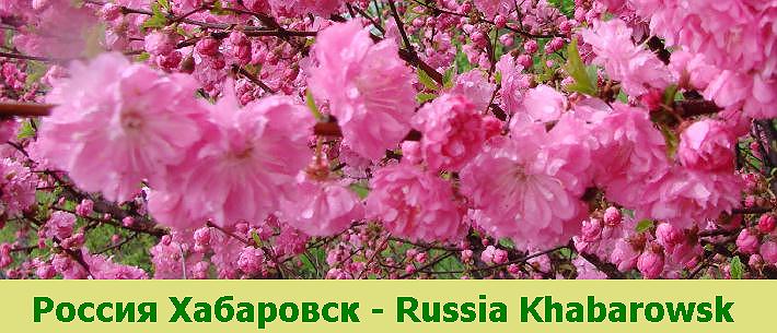 Расскажи мне милая