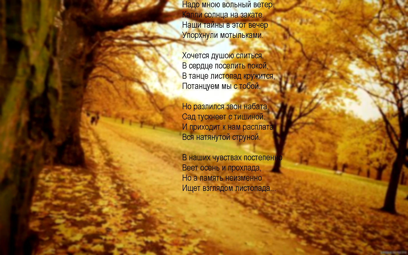 Звучала лунная соната