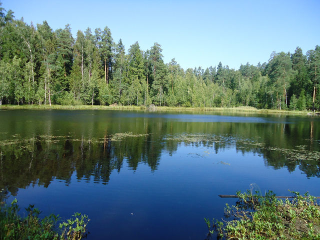 Лесные озера белоруссия